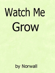 劳威尔壁纸（墙纸）系列批发--加拿大NORWALL系列批发watch me grow
