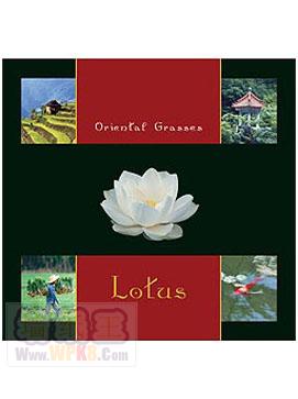  ֽ ǽֽ ƷƱֽ Ʒǽֽ
            ͼ:Lotus