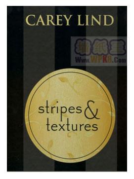  ֽ ǽֽ ƷƱֽ Ʒǽֽ
            ͼ:Carey Lind Stripes and Textures