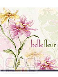  ֽ ǽֽ ƷƱֽ Ʒǽֽ
            ͼ:Belle Fleur